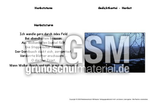 Herbststurm-Wille.pdf